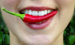 Hvor kommer chili fra?